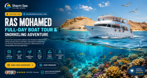 Sharm El Sheikh Activities for Non-Divers: 10 Best Things to Do "Ras Mohamed Full-Day Boat Tour in Sharm El Sheikh featuring a luxury yacht, White Island, crystal-clear Red Sea waters, vibrant coral reefs, tropical fish, and snorkeling adventure at Ras Mohamed National Park, Egypt."