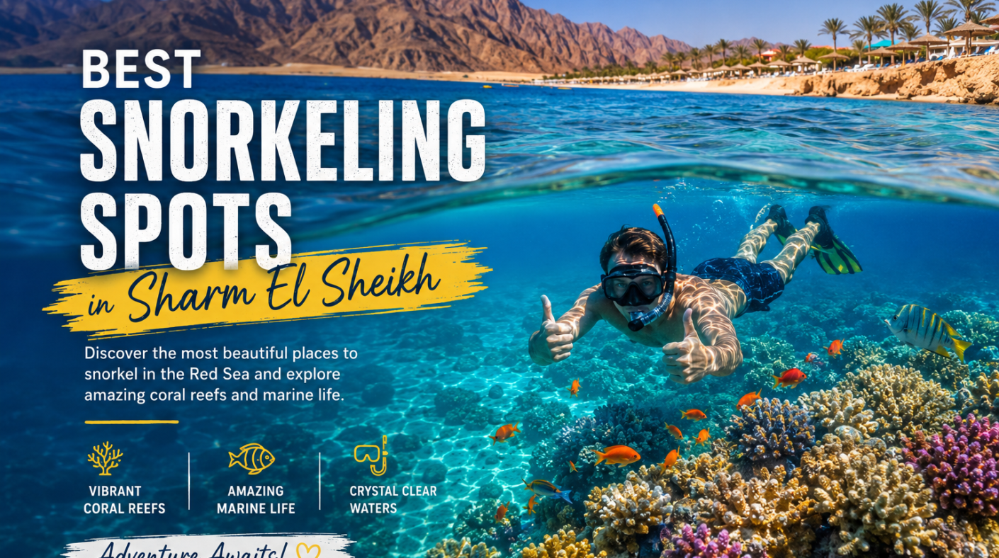 Best Snorkeling Spots in Sharm El Sheikh