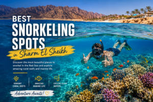 Best Snorkeling Spots in Sharm El Sheikh