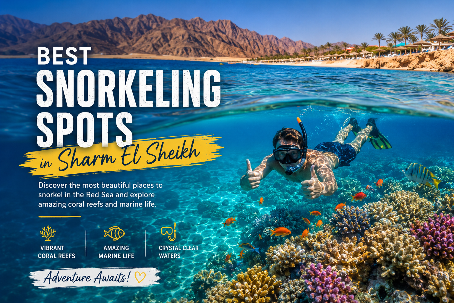 Best Snorkeling Spots in Sharm El Sheikh: Complete 2026 Guide Best Snorkeling Spots in Sharm El Sheikh
