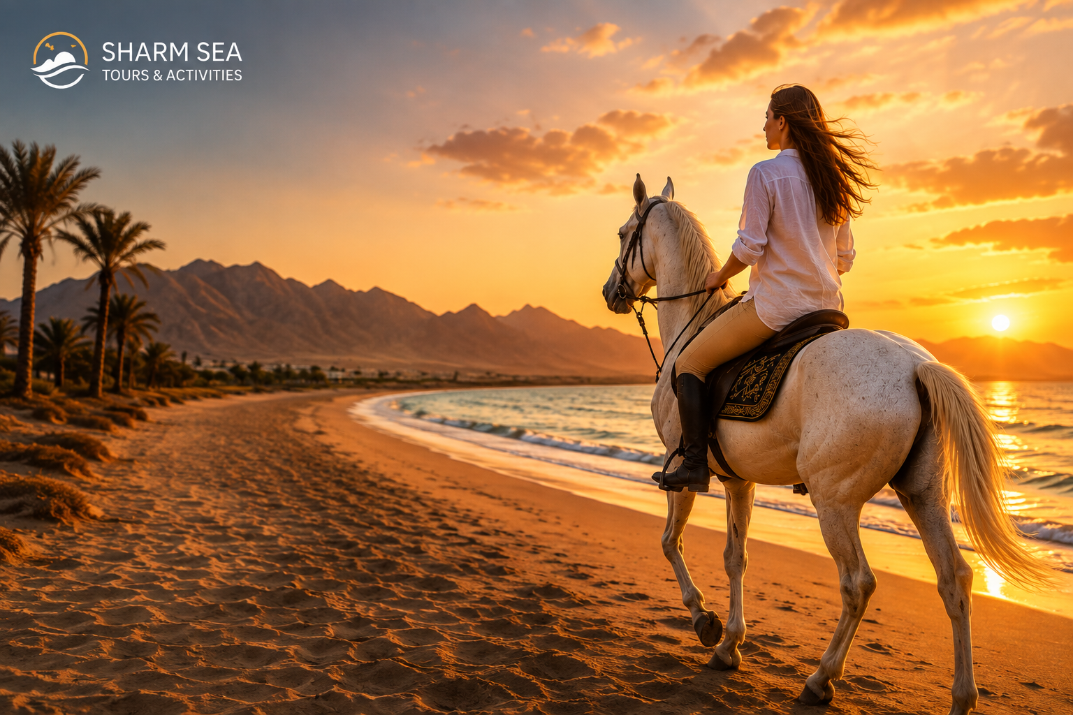 Arabian Horse Riding in Sharm El Sheikh | Desert & Beach Tour