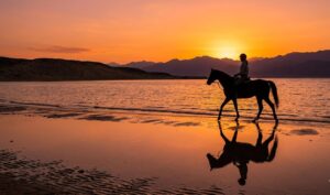 Arabian horse riding in Sharm El Sheikh