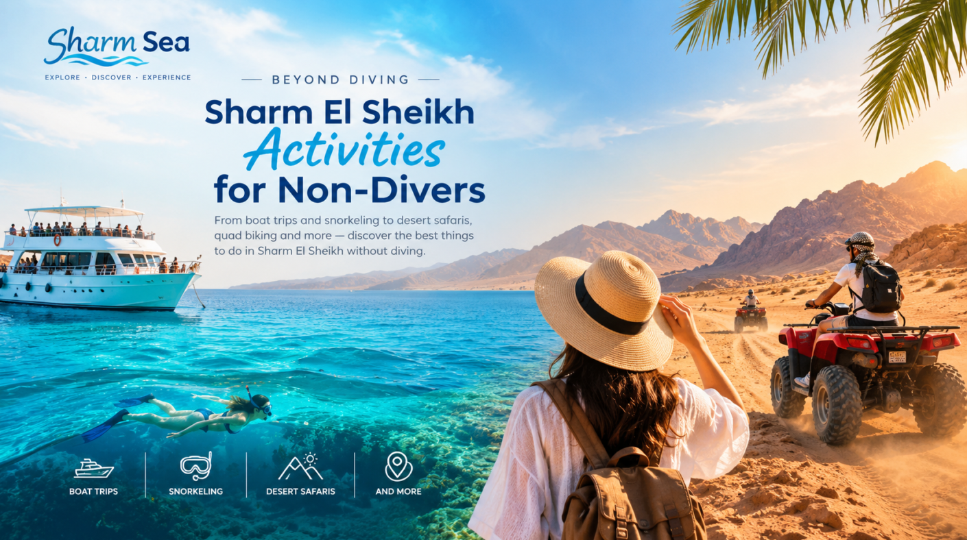 Sharm El Sheikh activities for non-divers featuring a Red Sea boat trip, snorkeling over coral reefs, desert quad biking adventure, and stunning Sinai mountains under a sunny sky.