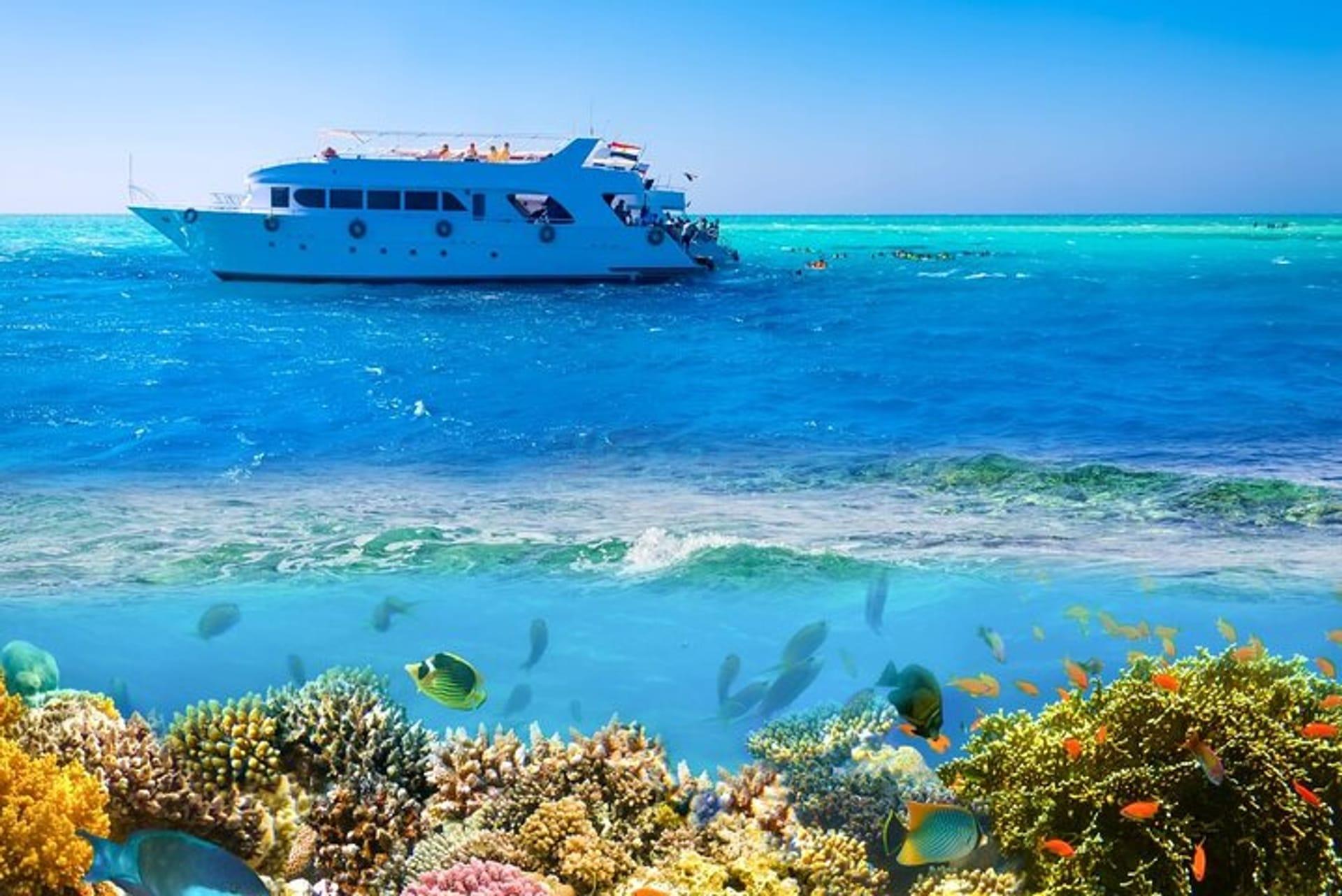 Ras Mohamed vs Tiran Island: Which Snorkeling Trip Is Better? cihddtyvzpvdmkwr d dtq7kiodmhydw8yorehajp xxrr vruqnyqrinfyl7wfokbjksb09t nmg88meirn fqf4w fpoqk5tdqgzroqx6 wrzqpyonlu6wlodvlzocmw8g00hnkfovknje12fsn2a4qirghhofhgskfodi9ejc7xdbn2qxuaw5uh8cr03v