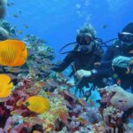 ras-mohammed-snorkeling-coral-reef.webp