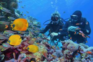 ras-mohammed-snorkeling-coral-reef.webp