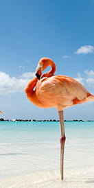 H2 Banner8